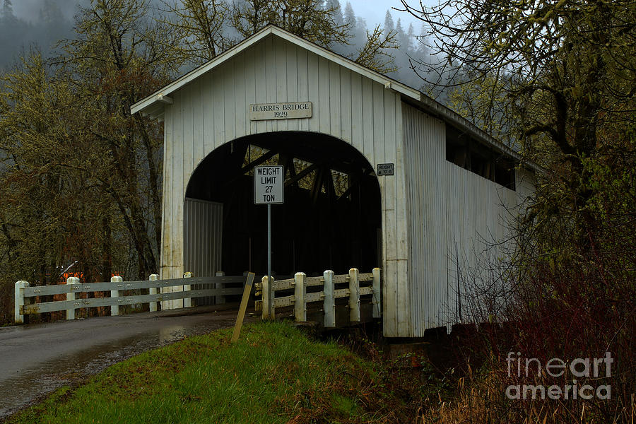 Harris Photograph - Harris Covered Bridge Wren Oregon by Adam Jewell