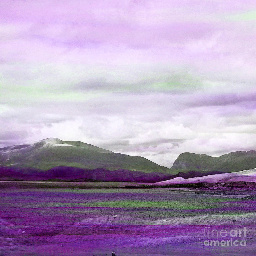 Harris in Violet Painting by Tracy-Ann Marrison