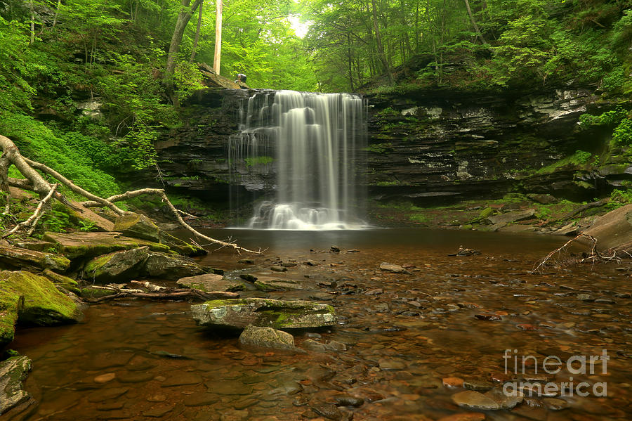 Harrison Wrights Falls In The Forest Photograph by Adam Jewell