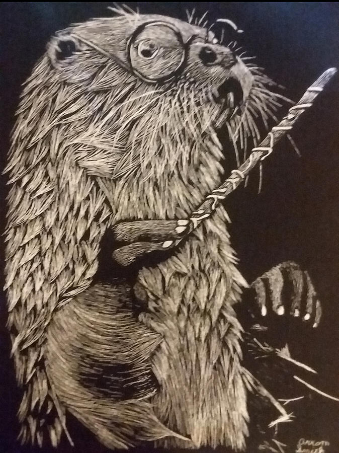 Harry otter Drawing by Arron Smith - Fine Art America