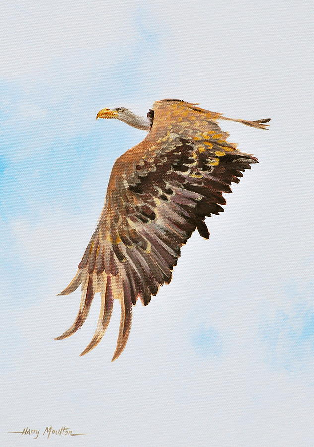 Harrys Eagle Painting by Harry Moulton