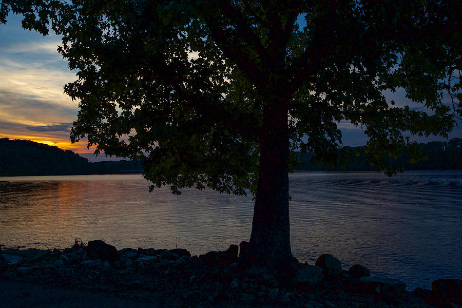 Hartwell Lake Photograph By Todd Wise - Pixels