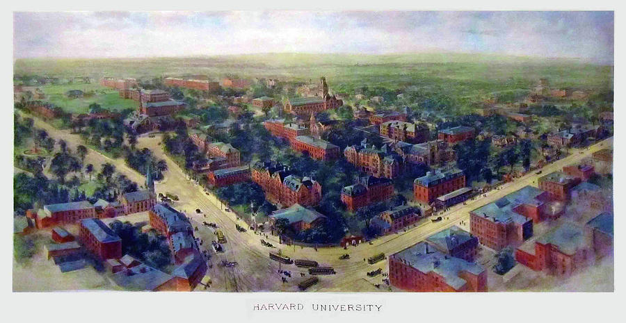 Harvard 1906 Painting by Mountain Dreams