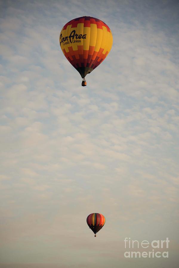 Harvard Balloon Fest 8 Photograph by David Bearden