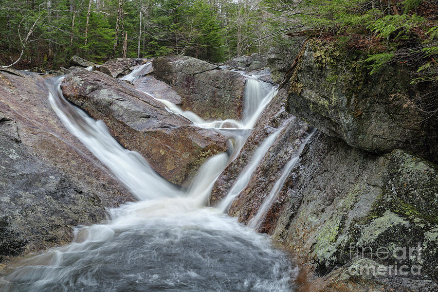 Nature Photograph - Harvard Brook - White Mountains New Hampshire by Erin Paul Donovan