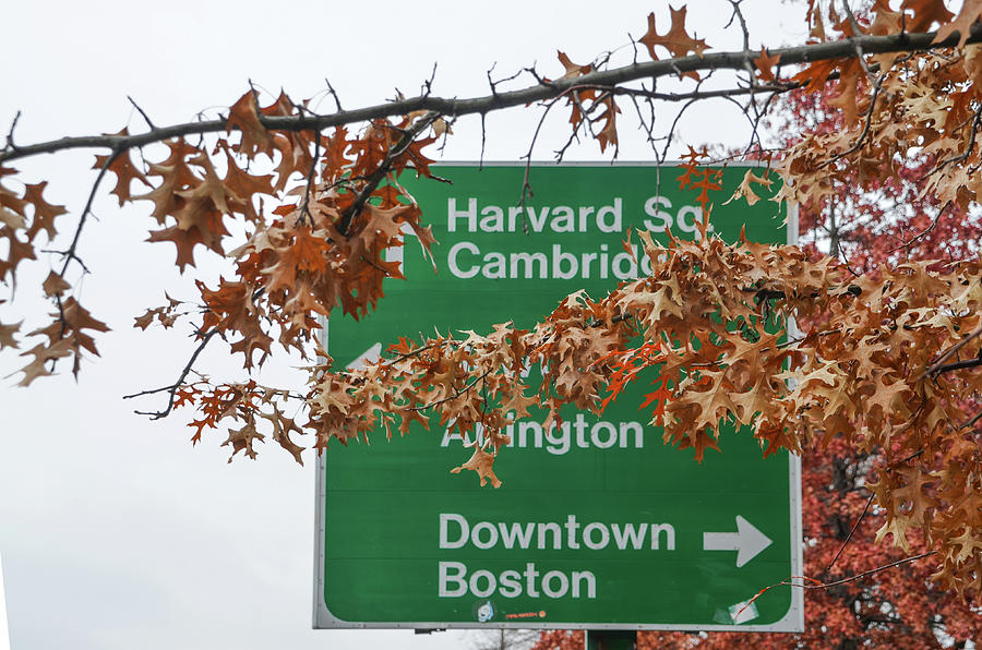 Harvard Square Cambridge Abington Downtown Boston Street Sign Photograph by Bill Cannon