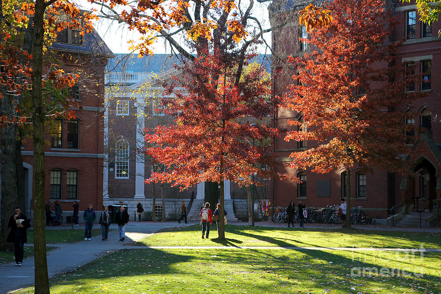 Boston Photograph - Harvard Yard Lehman Hall in Fall by Jannis Werner
