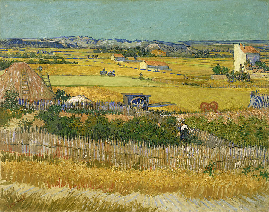 Harvest at La Crau Painting by Vincent Van Gogh