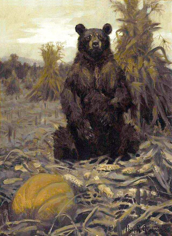 Harvest Bear Painting by Philip R Goodwin
