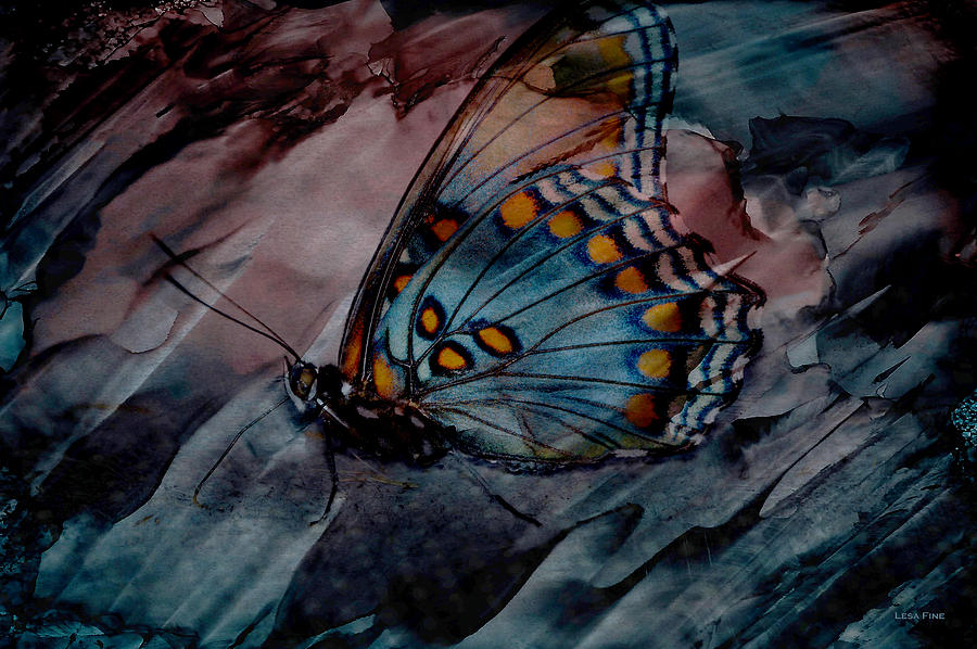 Butterfly Photograph - Harvest Butterfly Marbled Art by Lesa Fine