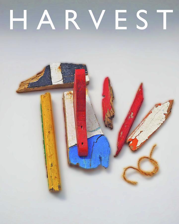 Harvest Mixed Media by Charles Stuart