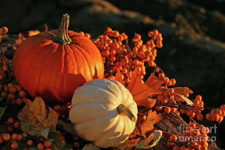 Fall Photograph - Harvest colors by Sandra Cunningham
