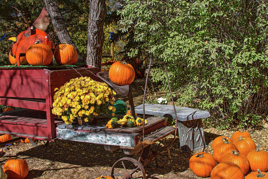Harvest Display Photograph by Alana Thrower