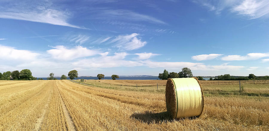 Harvest Field Photograph