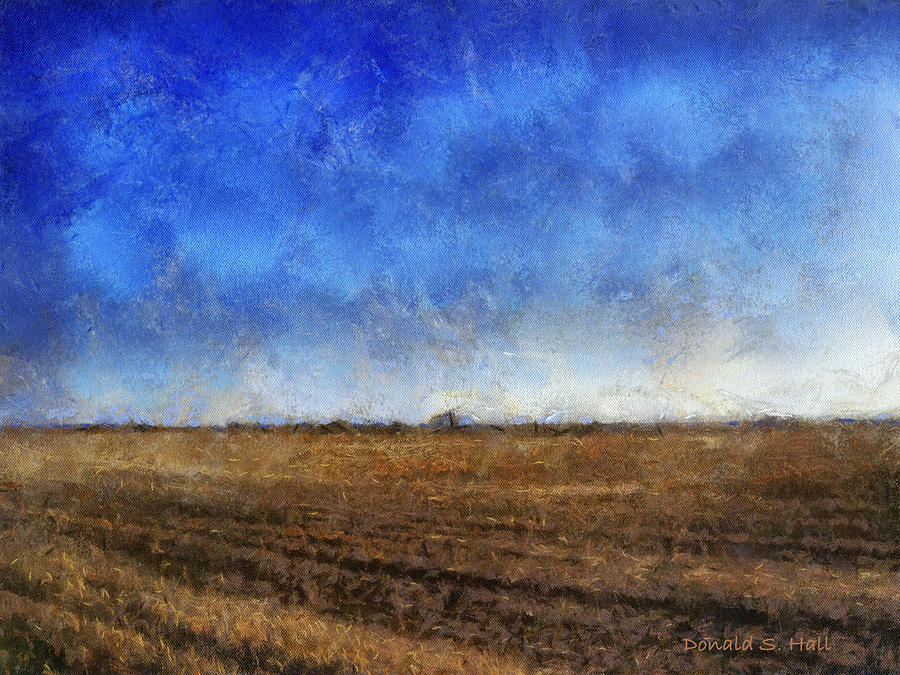 Harvest Fields Digital Art by Donald S Hall