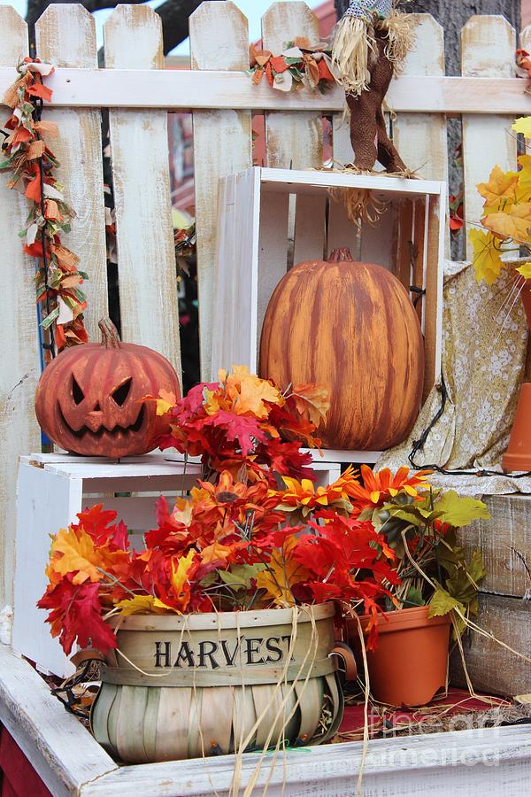 Harvest Halloween Photograph by Mesa Teresita