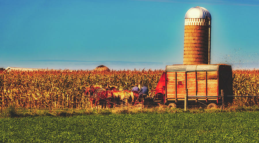 Harvest In Amish Country - Elkhart County, Indiana Photograph by Mountain Dreams