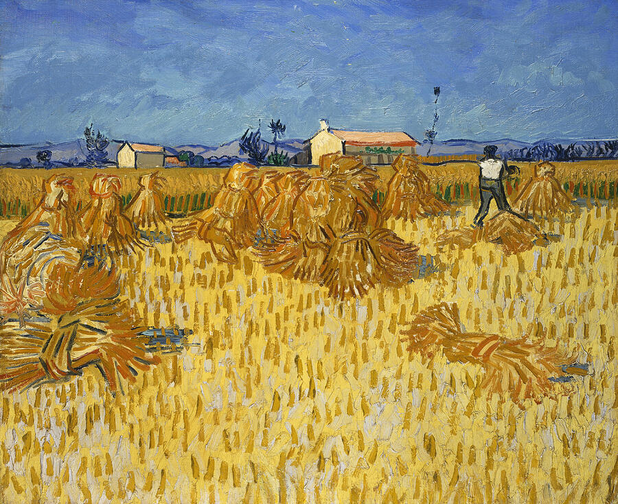 Harvest in Provence, from 1888 Painting by Vincent van Gogh