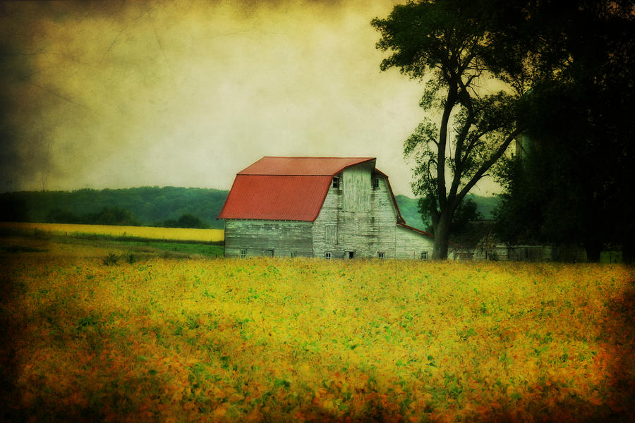 Barn Photograph - Harvest is near by Julie Hamilton