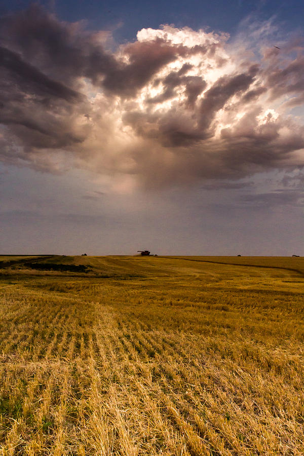 Harvest Photograph by Jay Stockhaus