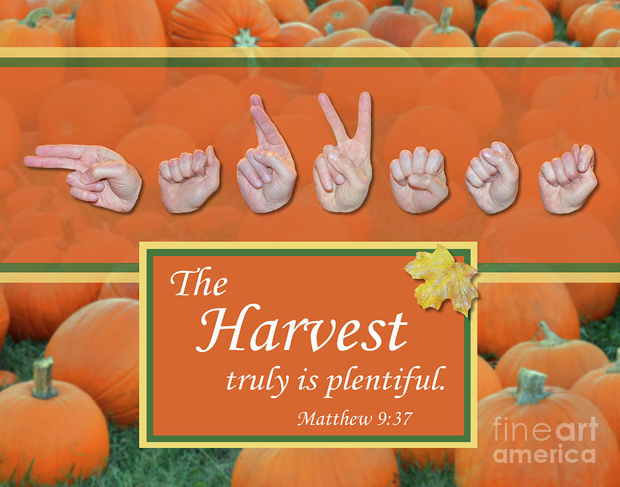 Christian Photograph - Harvest by Masters Hand Collection Christian Photograph - Harvest by Masters Hand Collection