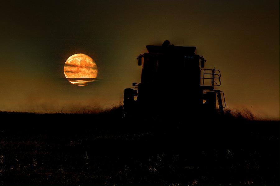 Sunset Photograph - Harvest Moon 2 by David Matthews