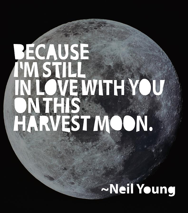 Neil Young Painting - Harvest Moon by Cindy Greenbean