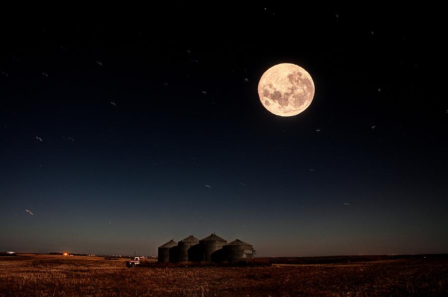 Harvest Moon Photograph by David Matthews