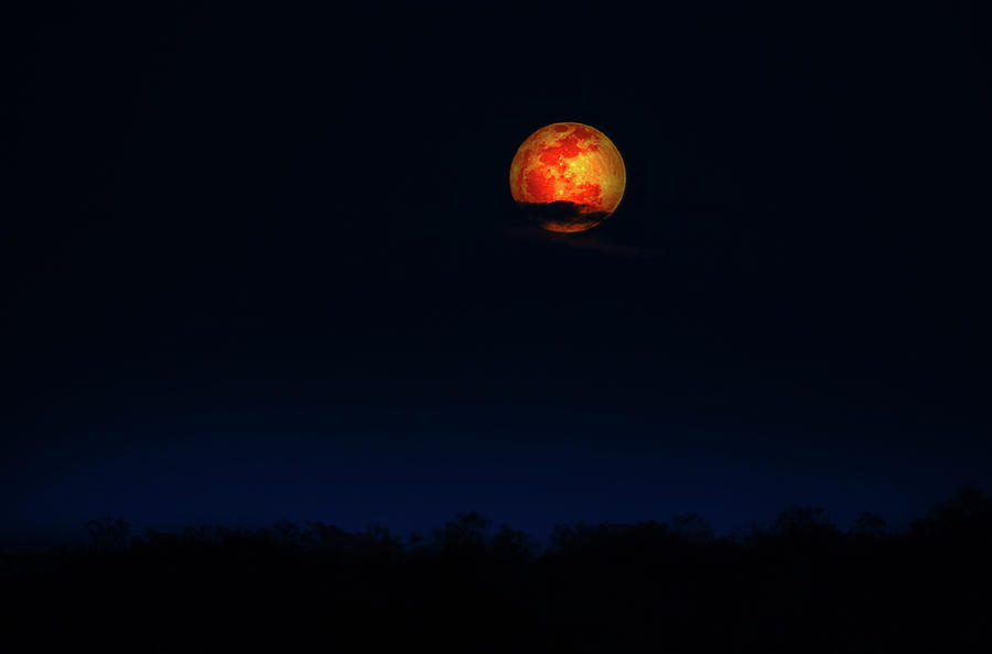 Harvest Moon Photograph by Mark Andrew Thomas