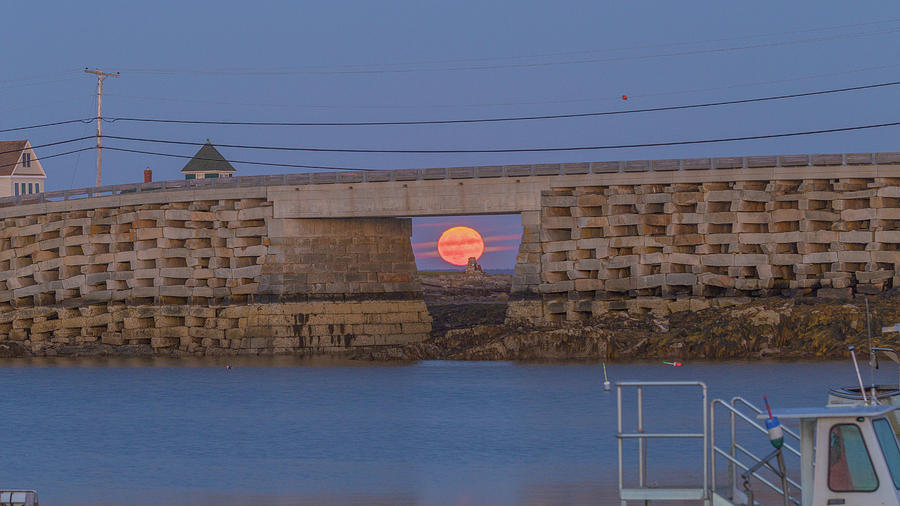 Harvest Moon over Harpswell Photograph by David Hufstader