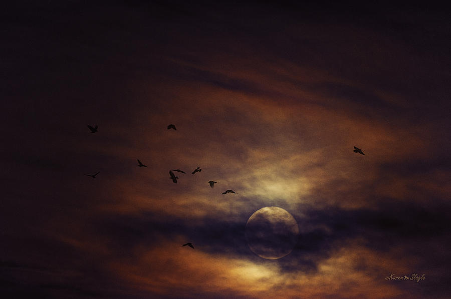 Harvest Moon Over Texas Photograph by Karen Slagle