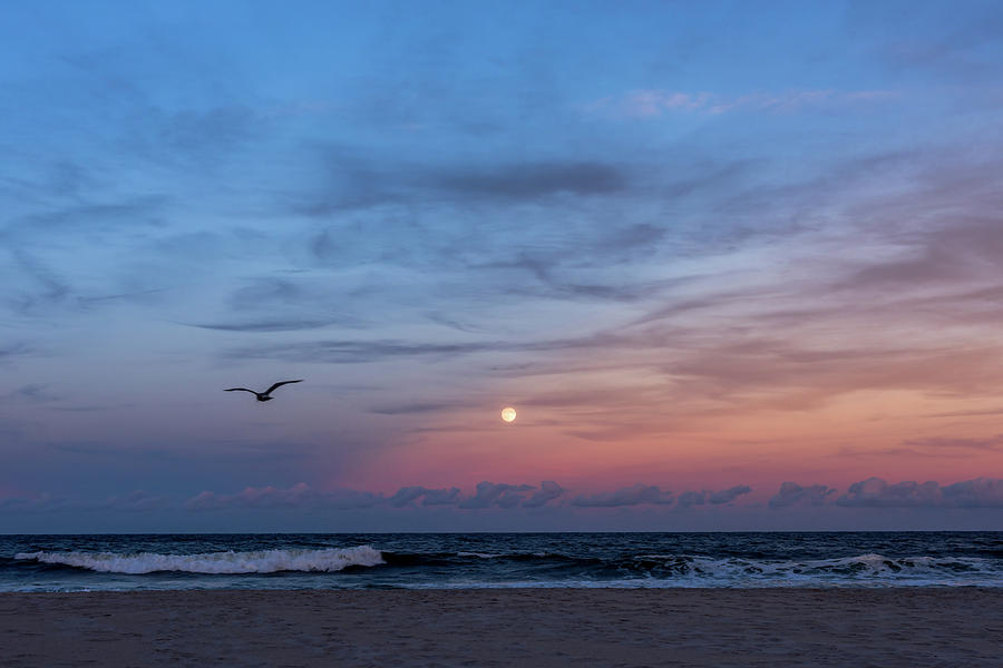 Harvest Moon Rising 2016 Lavallette NJ Photograph by Terry DeLuco