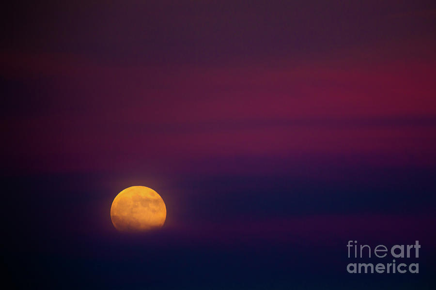 Harvest Moon Rising Photograph by Doug Sturgess
