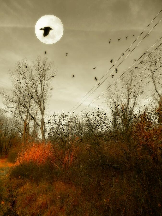 Fall Photograph - Harvest Moon Rising by Gothicrow Images