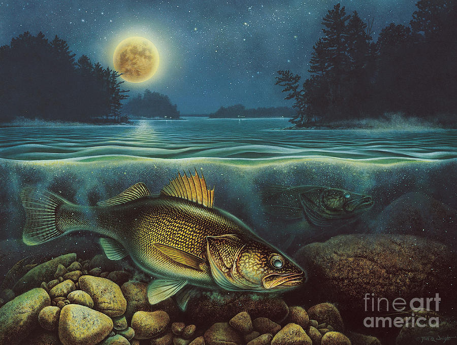 Harvest Moon Walleye III Painting by Jon Q Wright
