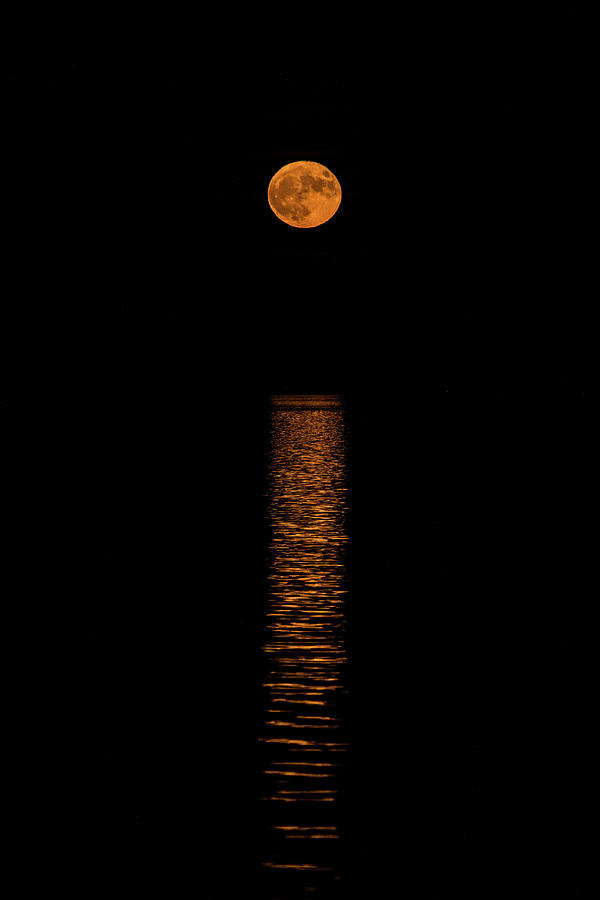 Nature Photograph - Harvest Moonrise by Paul Freidlund