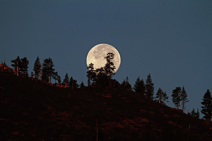 Harvest Moonset Photograph by Donna Kennedy