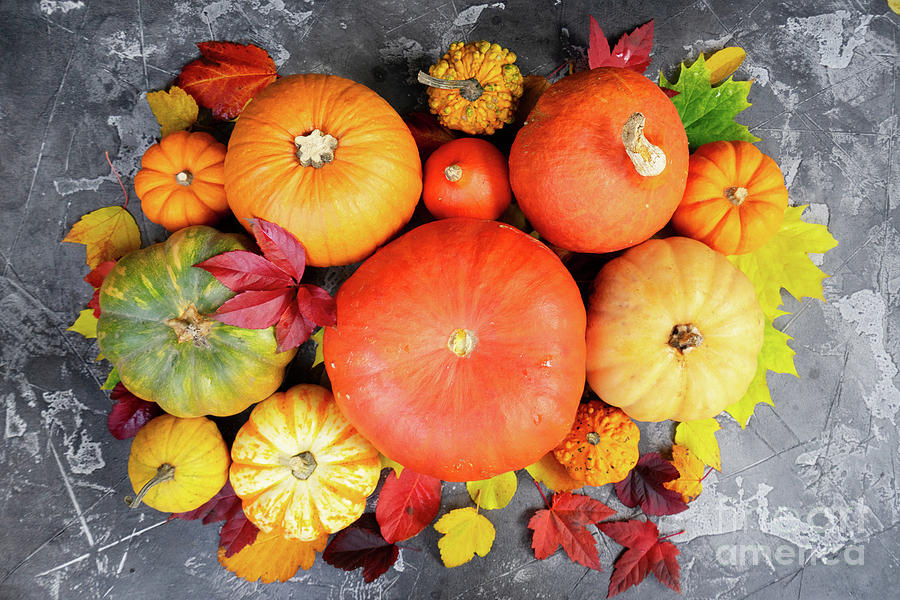 Autumn harvest Photograph by Anastasy Yarmolovich