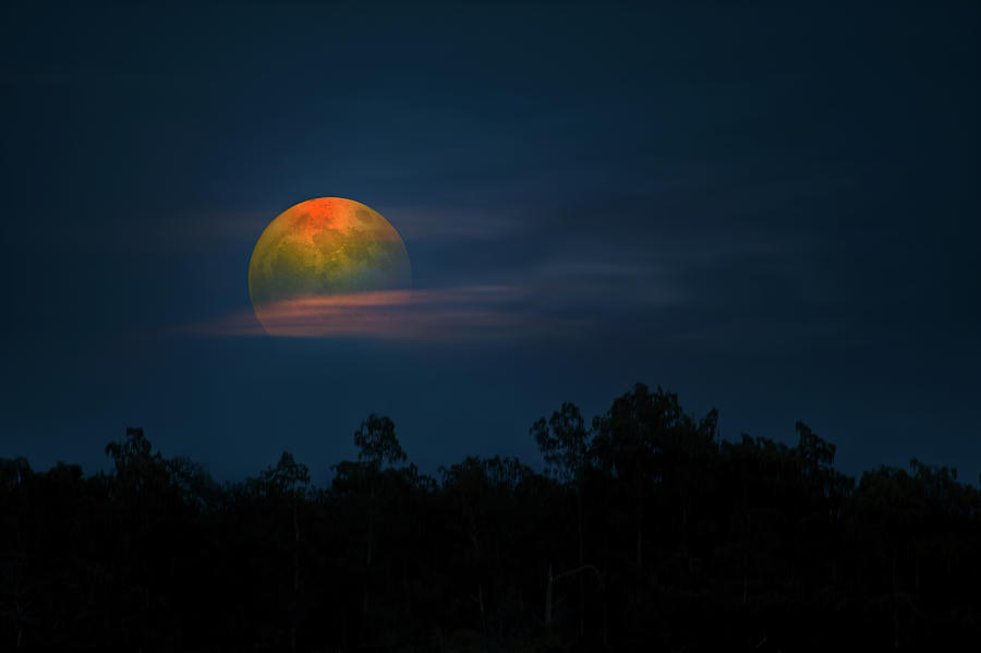 Harvest of the Moon Photograph by Mark Andrew Thomas