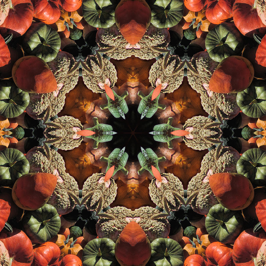 Harvest Pumpkin Kaleidoscope Photograph by Kathy Clark
