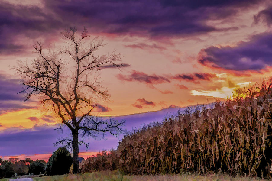 Harvest Purple Sunset II Digital Art by Lisa Lemmons-Powers