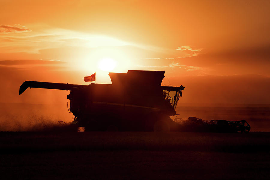 Harvest Silhouette Photograph by Todd Klassy