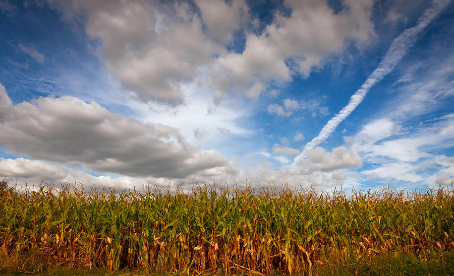 Harvest Sky Photograph by David Lamb - Fine Art America