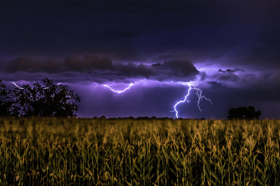 Lightning Photograph - Harvest Storm by Ryan Smith
