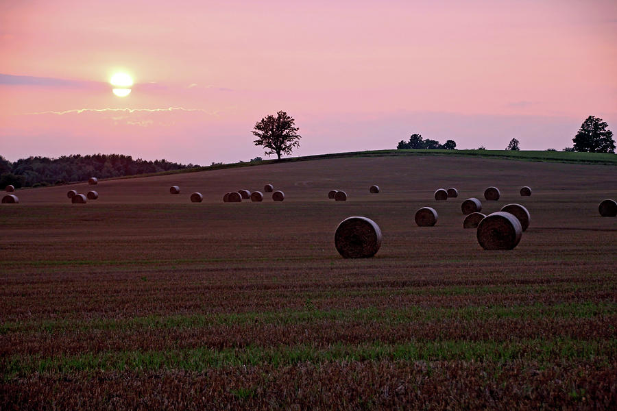 Harvest Sunset Photograph by Debbie Oppermann