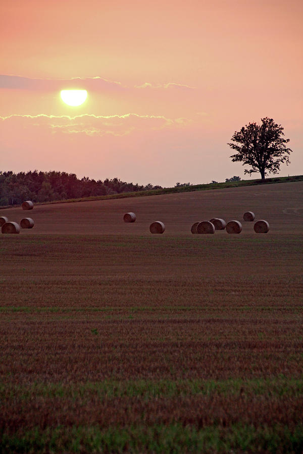 Harvest Sunset I Photograph by Debbie Oppermann