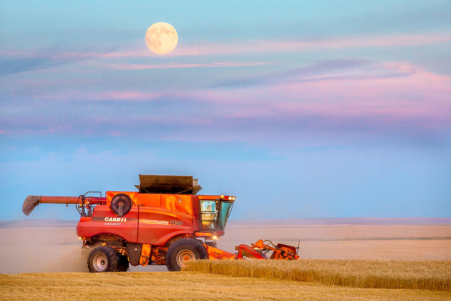Harvest Supermoon Photograph by Todd Klassy