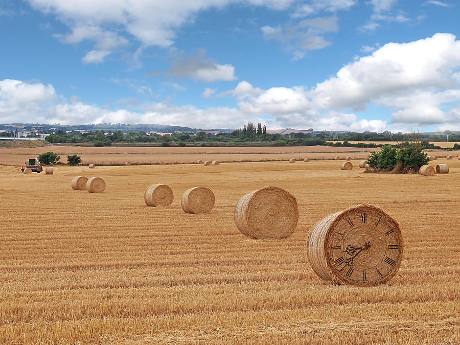Harvest Time Photograph by Gill Billington