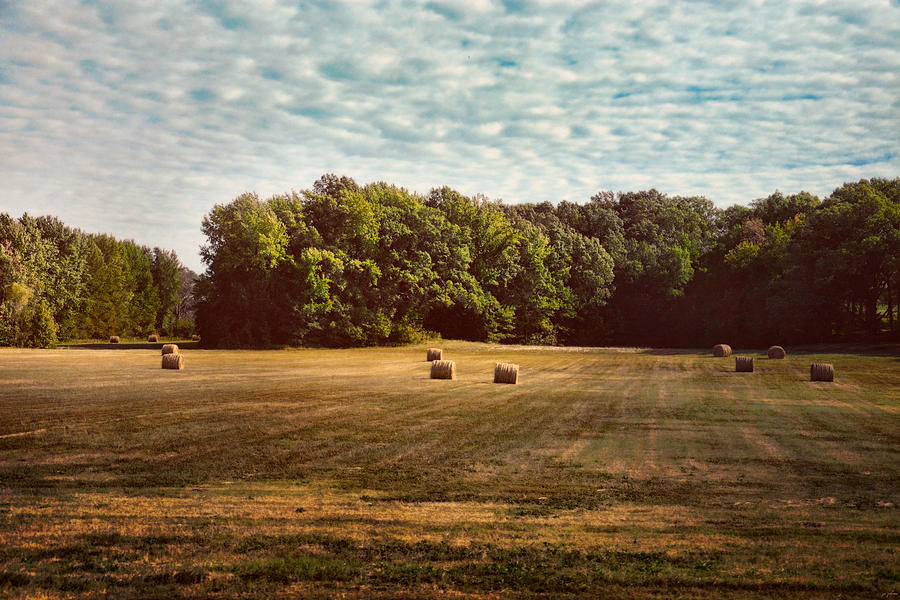 Harvest Time Photograph by Jai Johnson