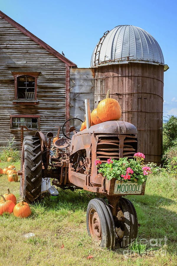 Harvest Time Vintage Farm with Pumpkins Photograph by Edward Fielding